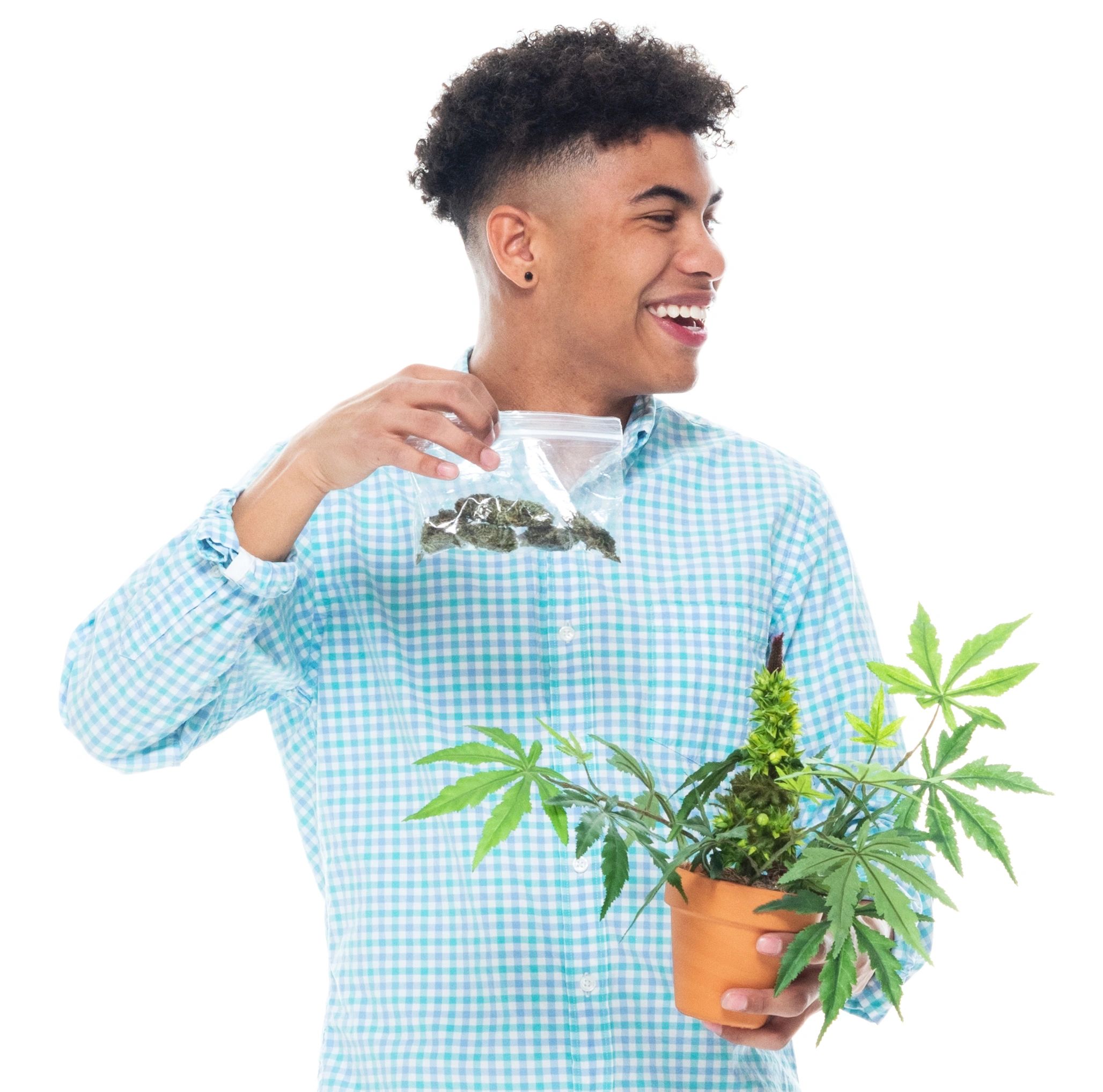 satisfied customer cannabis seeds