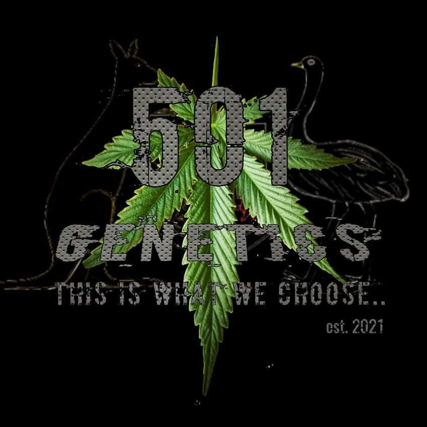 501 Genetics