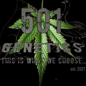 501 Genetics